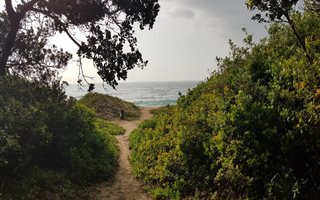 1325 m² Land available in Elysium
