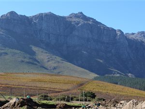 560 m² Land available in Paradyskloof