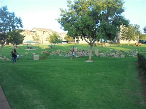 2 Bed Apartment in Castleview