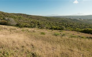 834 m² Land available in Groot Brakrivier