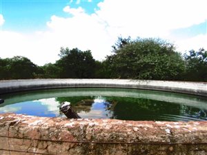 21 ha Farm in Mookgophong (Naboomspruit)