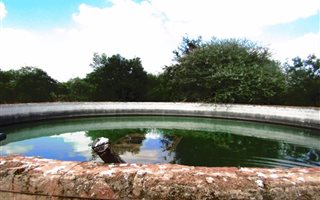 21 ha Farm in Mookgophong (Naboomspruit)