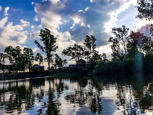 25 ha Farm in Parys
