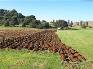 21.4 ha Farm in Sterkfontein and surrounds
