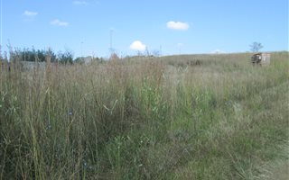 936 m² Land available in Fouriesburg
