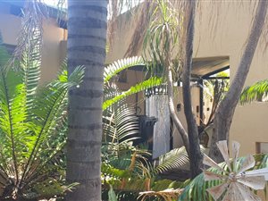 5 Bed House in Eloffsdal