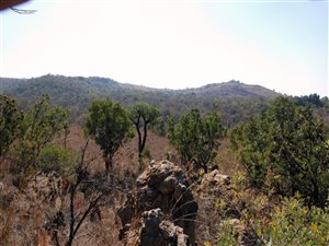 9.2 ha Land available in Kalkheuwel