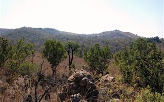 9.2 ha Land available in Kalkheuwel