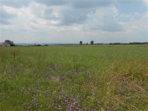 20 ha Farmland in Chrissiefontein