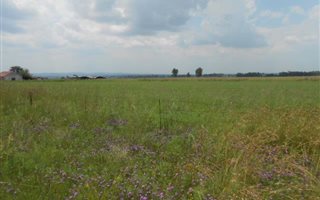 20 ha Farmland in Chrissiefontein