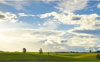 4358 m² Land available in Rosetta