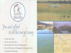 1.4 ha Land available in Dullstroom