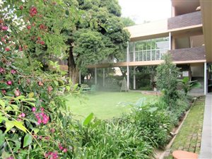 1 Bed Apartment in Orchards