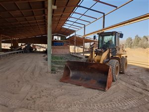 215 ha Farm in Rietfontein