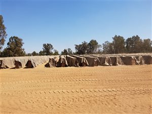 215 ha Farm in Rietfontein