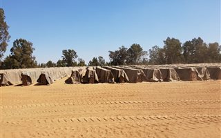 215 ha Farm in Rietfontein