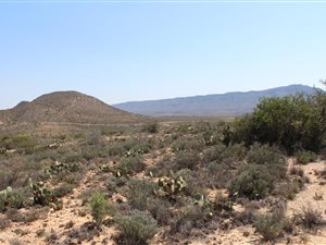1285 m² Land available in Willowmore