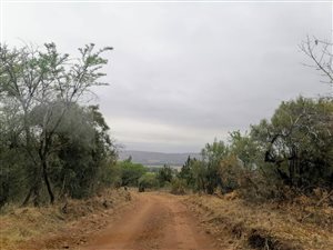 11 ha Farm in Magaliesmoot AH