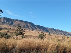 1469 m² Land available in Bergsig