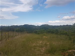 1 ha Land available in Nelspruit