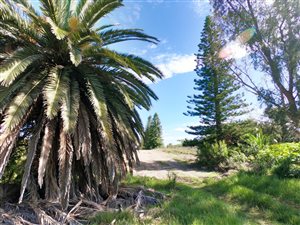 1779 m² Land available in Paradise Beach
