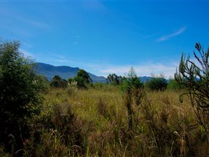 5050 m² Land available in The Crags