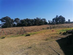 2.4 ha Farm in Vleikop AH