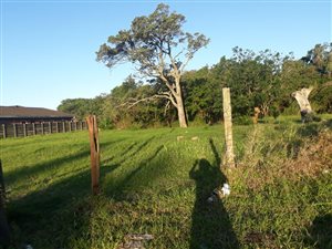 960 m² Land available in Veld En Vlei
