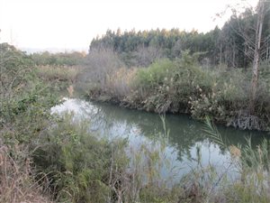 25.8 ha Farm in Barberton