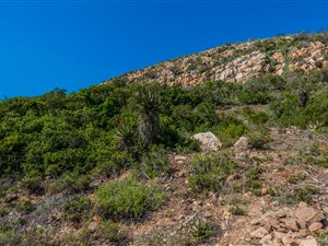 235 m² Land available in Mossel Bay Central