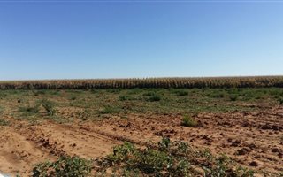 12.2 ha Land available in Zastron