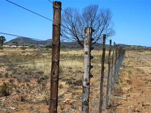 12.9 ha Land available in Willowmore