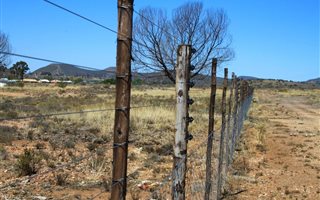 12.9 ha Land available in Willowmore