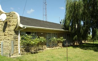 534 ha Farm in Lindley