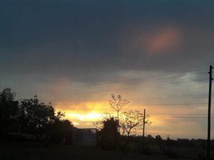 8600 m² Land available in Farmall