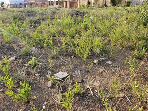 512 m² Land available in Louis Trichardt