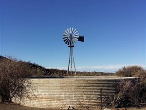 15698 ha Farm in Williston
