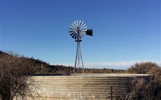 15698 ha Farm in Williston
