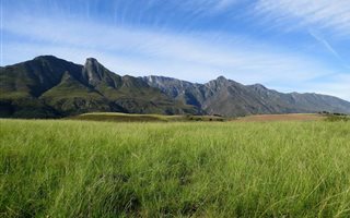 201 ha Farm in Swellendam