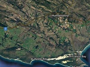 24.8 ha Farm in Oyster Bay