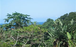2200 m² Land available in Zinkwazi Beach