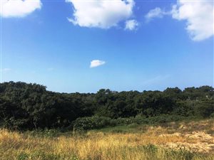 1250 m² Land available in Birdswood