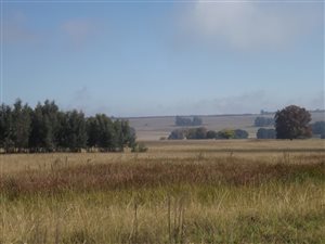 1096 ha Farm in Ermelo