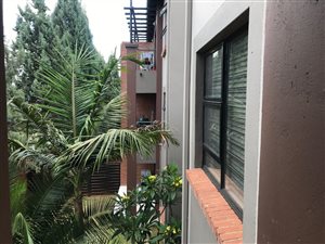2 Bedroom Apartment in Bellairspark