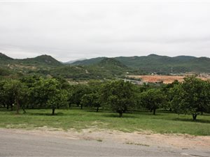 112 ha Farm in White River