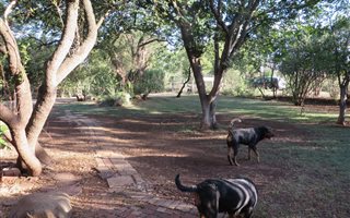 1000 m² Farm in Willow Park Manor