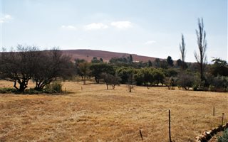 2 ha Smallholding in Protea Ridge