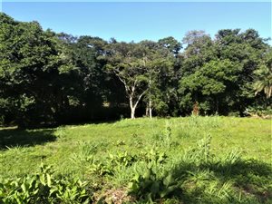 6230 m² Land available in Umtentweni