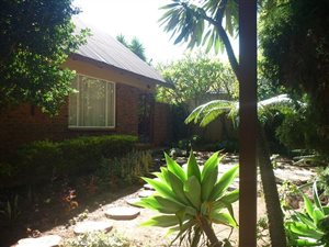 4 Bed House in Mountain View
