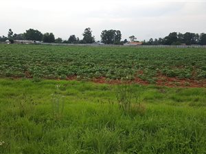 Farm in Delmas